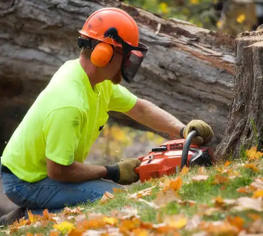 tree services Rutherford